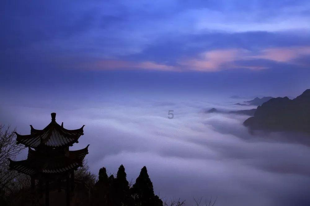 虫虫助手下载