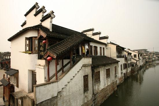 动物帮帮忙保卫家园